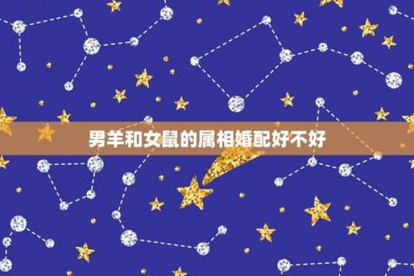 属羊男属鼠女婚姻_羊男鼠女婚姻相配分析