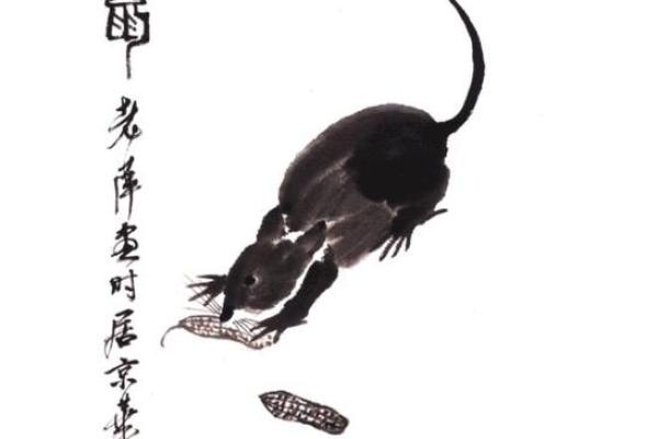 属鼠的今年谁是小人（今年属鼠需警惕的小人是谁）