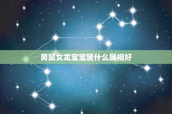 属龙对属鼠的人好吗_属龙与属鼠的相性分析