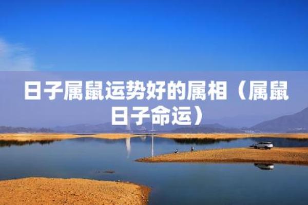 属鼠女人午时好吗（生肖鼠女性生于午时的命运解析）