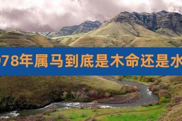 木命与水命的相处是否合适
