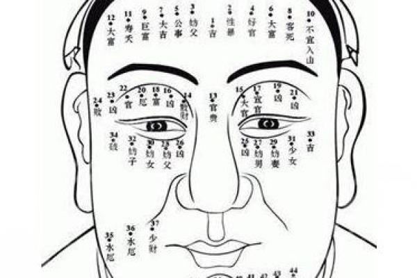 女性鼻梁痣相解析：鼻子长痣的女性面相含义探究