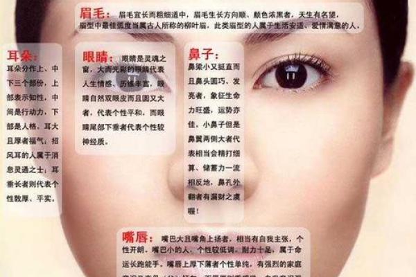 女性鼻梁痣相解析：鼻子长痣的女性面相含义探究