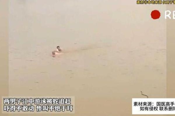 被蛇追