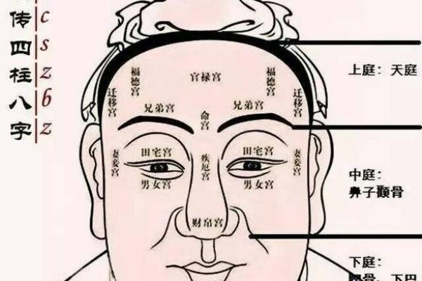 男性眉尾散乱的面相解析：眉尾散乱究竟预示着什么