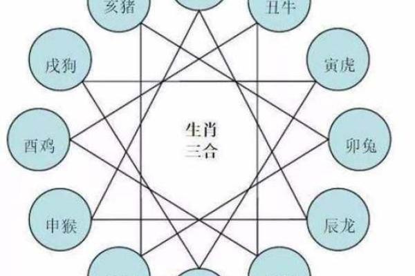 92年属猴男与96年属鼠女的配对分析
