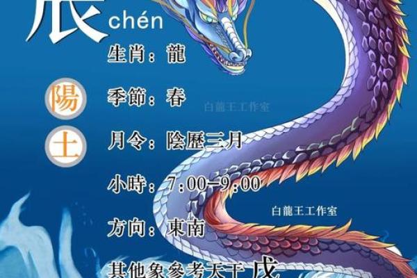高贵命运的时辰男孩