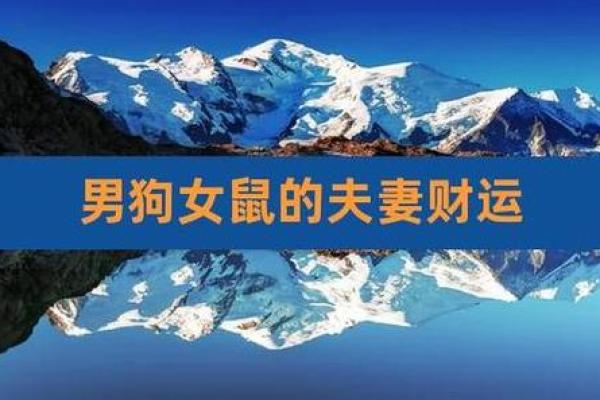 2007年属狗男子与2008年属鼠女子的婚配分析