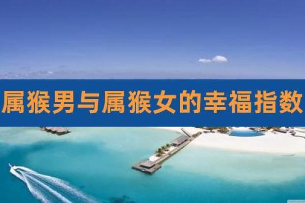 16年属猴男与19年属猪女的配对分析