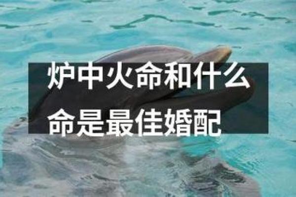 炉中火命是哪年_何年为炉中火命