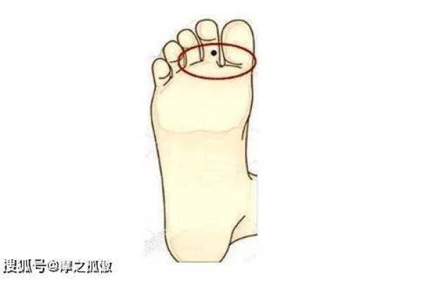 脚部痣的含义探究：脚上的痣代表着什么？