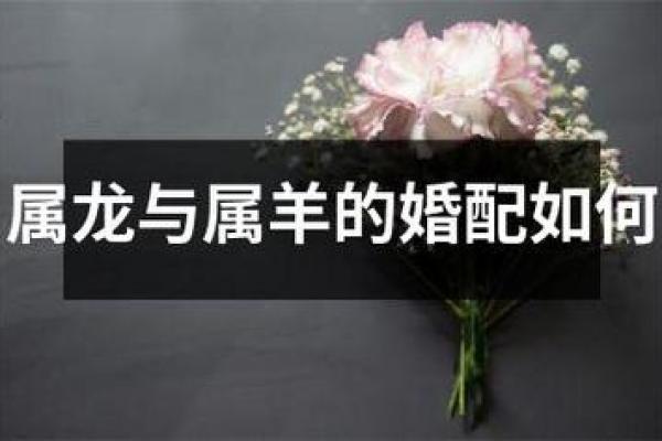 02年属马男与03年属羊女的婚姻是否可行