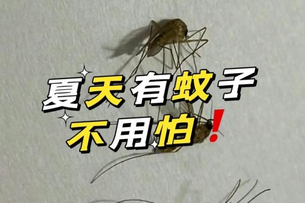 蚊子
