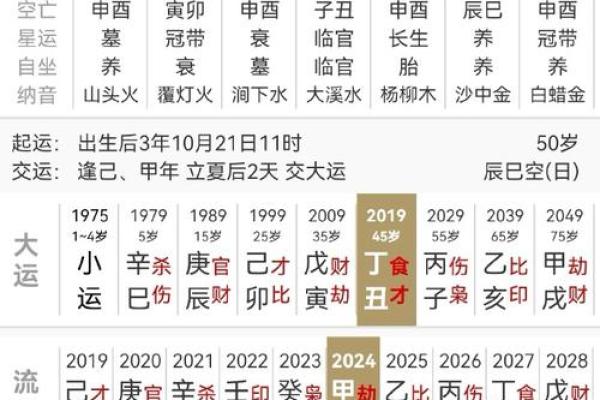 食伤官杀的含义解析