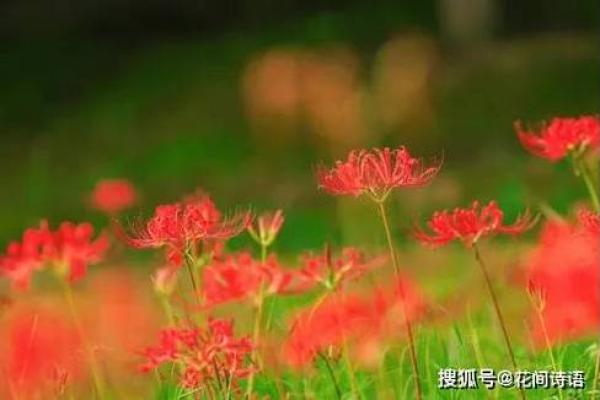 八字命里有鬼是什么意思,招鬼体质的人有什么特征