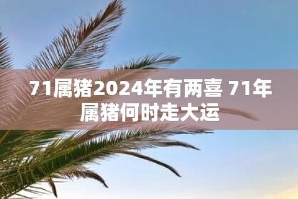 71年出生属猪女婚配好吗（71年属猪女性婚姻状况分析）