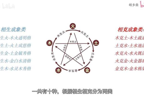 八字命局旺格什么意思,八字强旺格什么意思