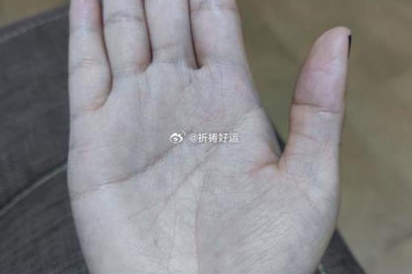 解析面相中的财富密码：面相如何透露一个人的财运好坏