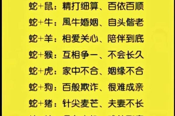 89年属蛇男与87年属兔女的配对情况分析