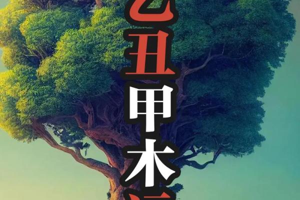 2023年出国八字命理 2023年海外运势与八字命理
