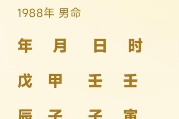 什么八字才是最好的命 最优八字命格的特征是什么