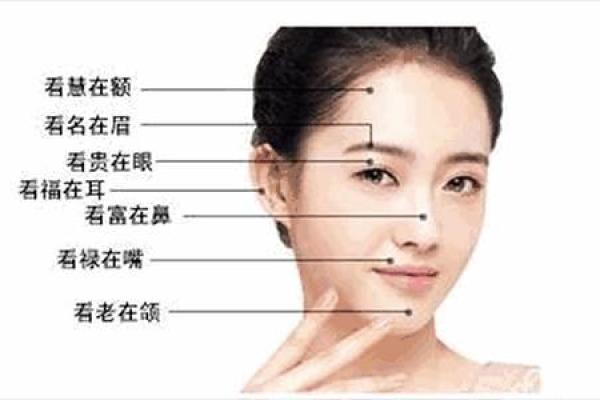你的面相与八字命理关系 面相与八字命理的联系与影响