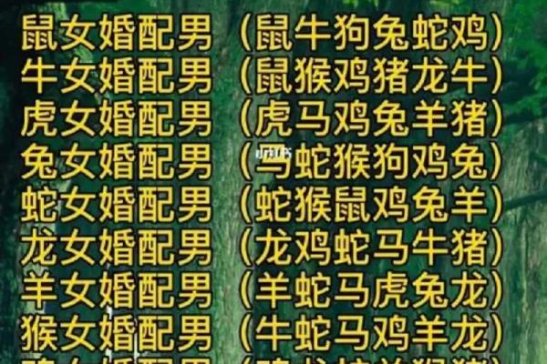 98年虎男与94年狗女的婚姻可能性分析