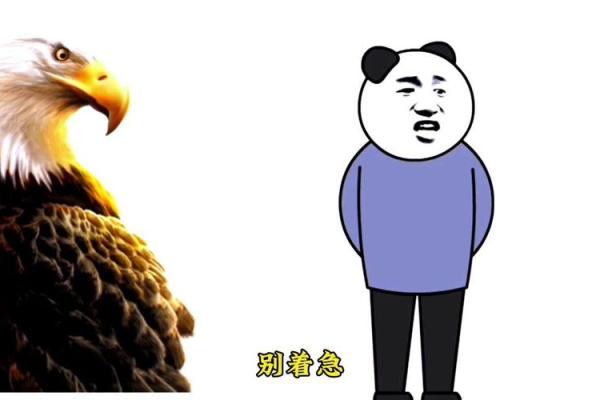 男性鹰嘴面貌解析：嘴巴特征与面相评析
