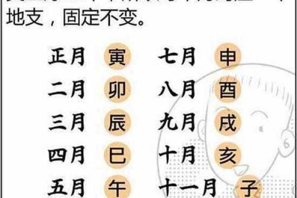没有下巴的命理八字 缺少下巴的命理八字运势