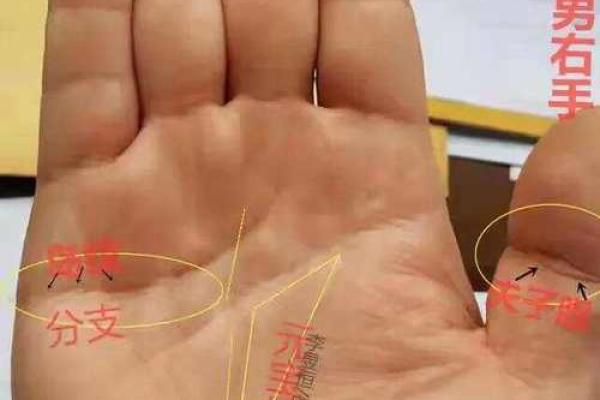 男性手相解析：掌握男人财运的秘诀