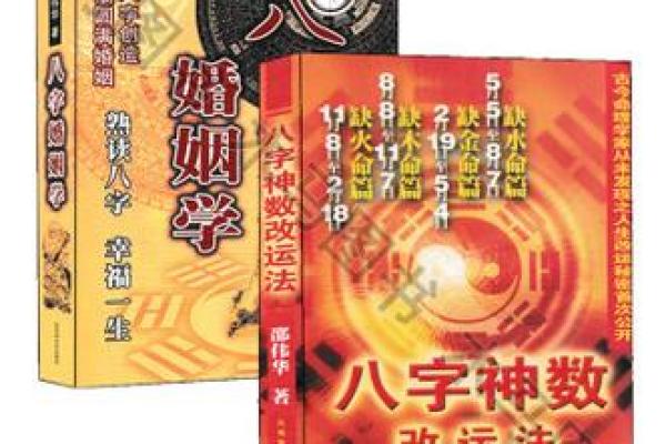 八字命理思路详解书籍 八字命理全景详解指南