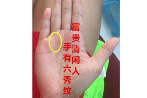 揭秘7大富贵手相特征：事业线预示财富满盈 财库丰盈预示大富大贵