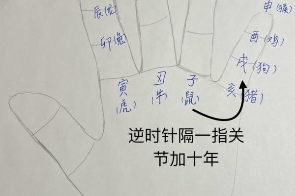 八字命理分配方法详解 八字命理的分配方法全面介绍