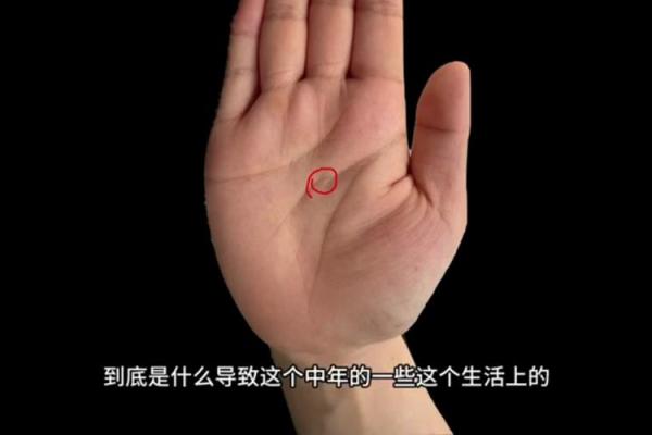 探究长寿者的手相奥秘：揭秘长命特征的手相解析