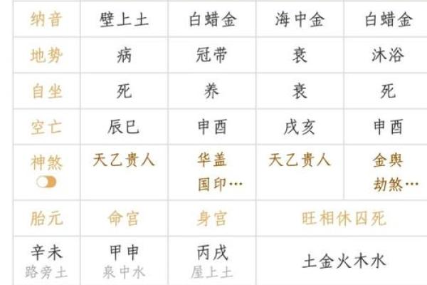八字命格神煞是什么,免费八字排盘终身详解软件