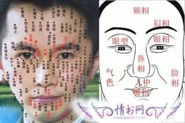 手腕痣奥秘解析：命运图解与痣相深度探究
