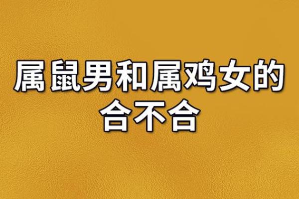 80年猴男与84年鼠女的配对分析