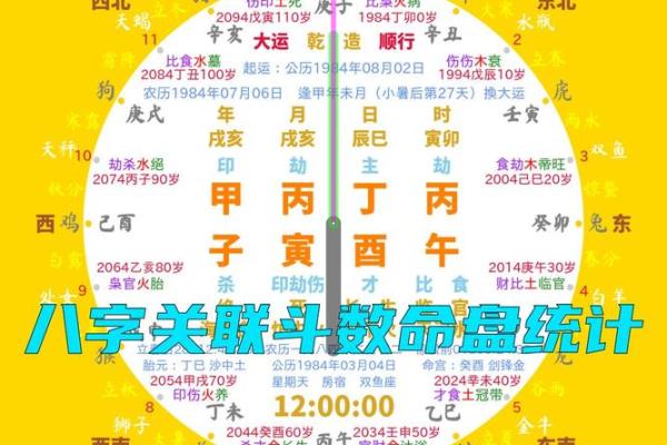 11日出生的八字命理分析,丁酉日八字100例