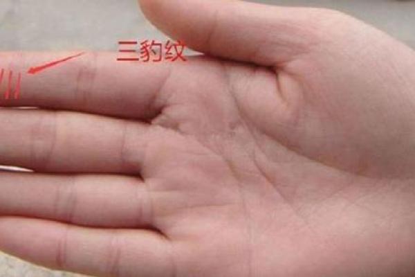 晚年运势旺盛的手相特征：掌心红润显玉带马迹象