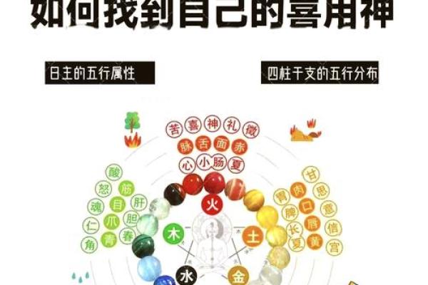 五行与喜用神的关系解析