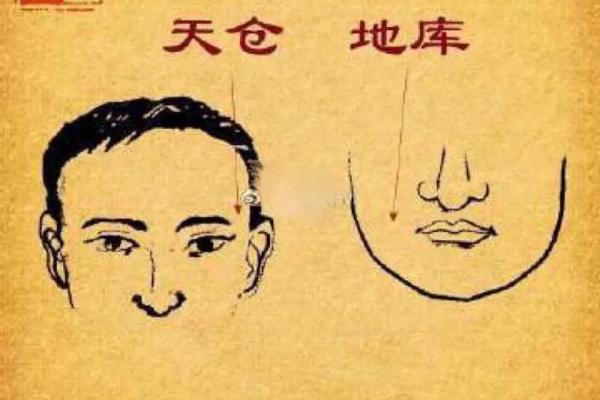 饱满额头是否预示着福气和富贵命运