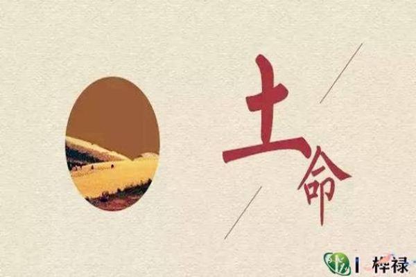 男人的土命好吗
