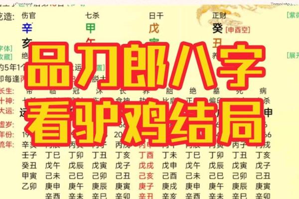 纯阳八字男性的命理分析