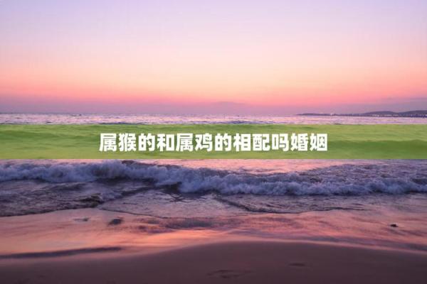16年出生属猴男婚姻状况（1988年出生男性猴属婚姻状态解析）