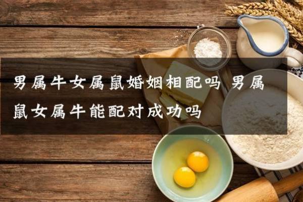 85年牛男与84年鼠女的婚姻可能性探讨
