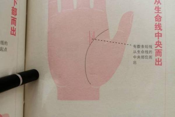 洞察命运线：手相揭示终身运势与命运走向