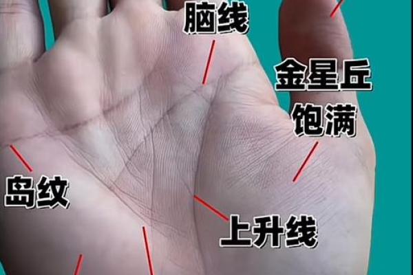 洞察命运线：手相揭示终身运势与命运走向