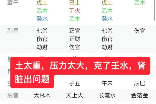 李居明讲八字命理学,倪海厦紫微八字排盘软件
