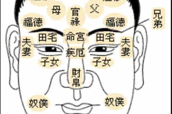 男性鼻型面相解析：揭秘男生鼻子的秘密与玄机