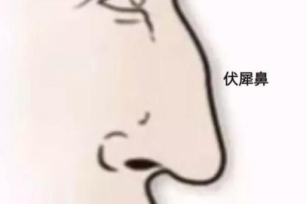 男性鼻型面相解析：揭秘男生鼻子的秘密与玄机